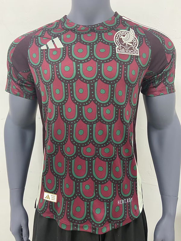 AAA Quality Mexico 2024 Home Soccer Jersey(Player)